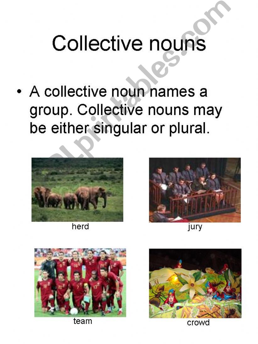 Types of  Nouns powerpoint