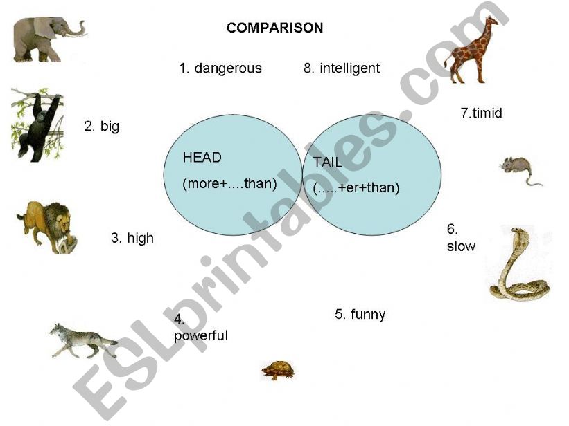 COMPARISON powerpoint