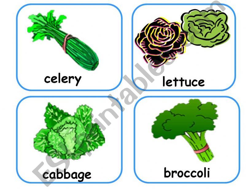 VEGETABLES  FLASHCARDS  powerpoint