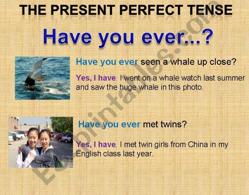 esl-english-powerpoints-the-present-perfect-tense-have-you-ever