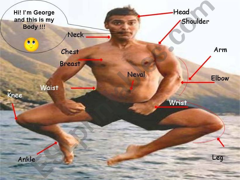 Georges body powerpoint