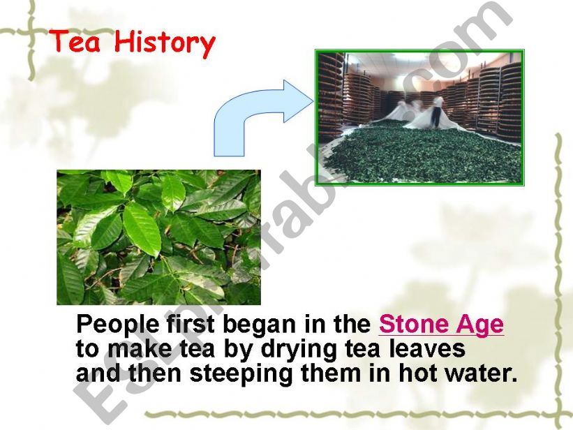 tea history powerpoint