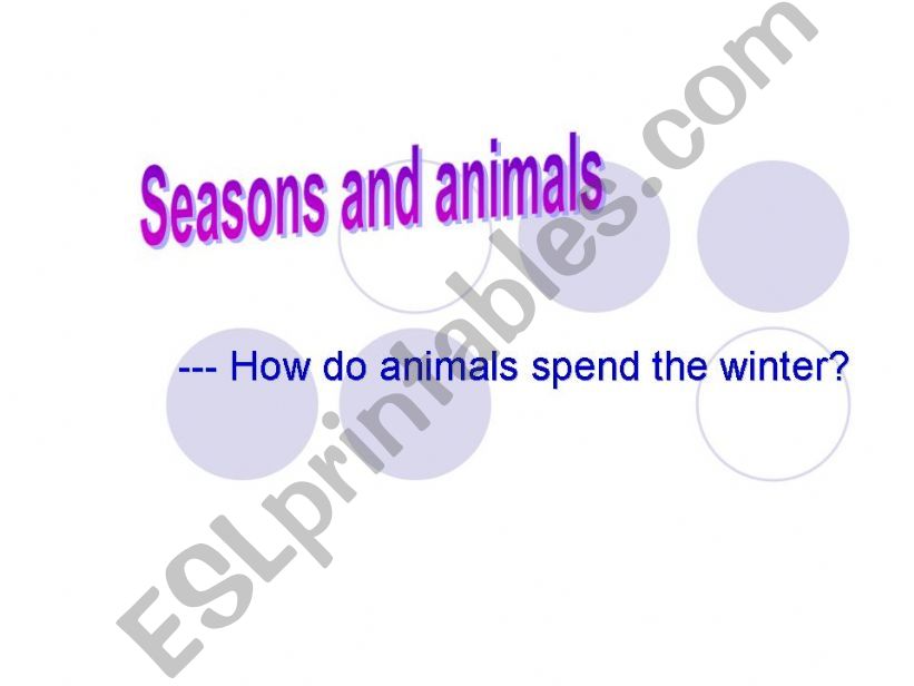 Seasons and animals powerpoint