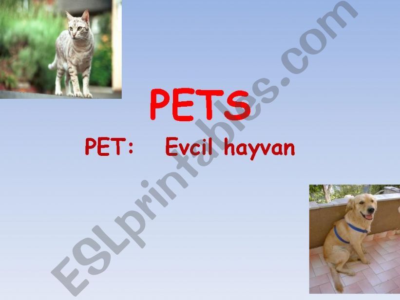 Pets powerpoint