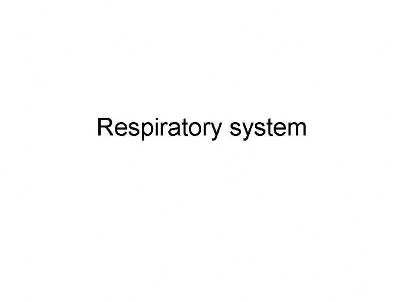 respiratory system powerpoint