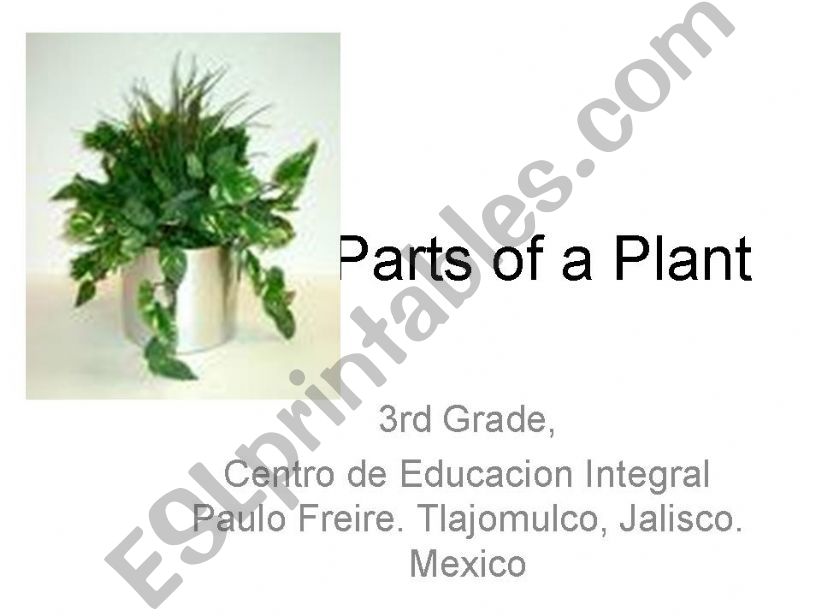 Parts of the plant powerpoint