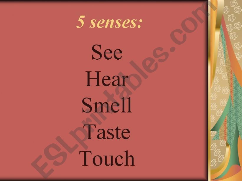 five senses powerpoint