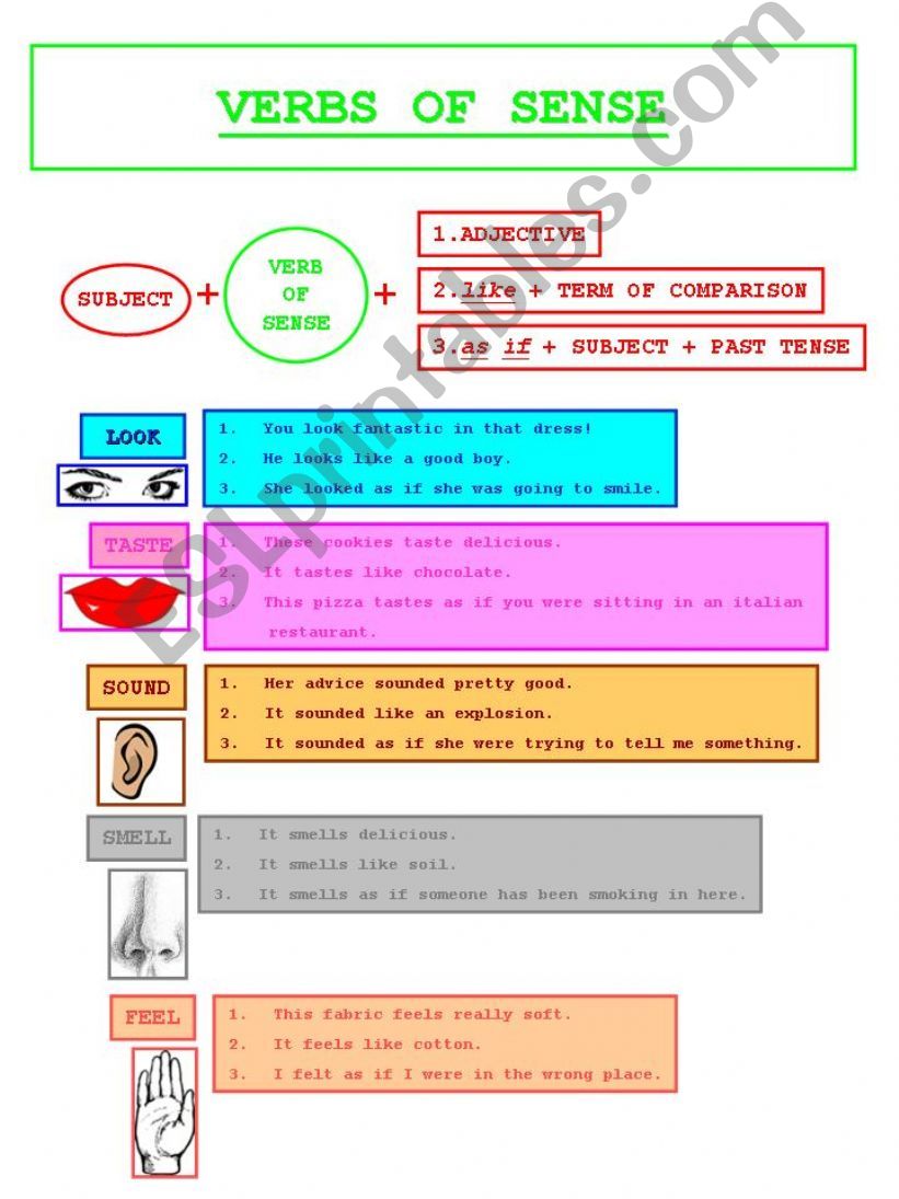 Verbs of sense powerpoint