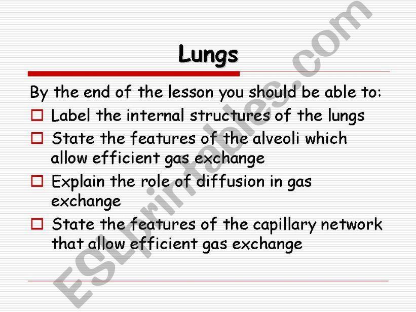 LUNGS powerpoint