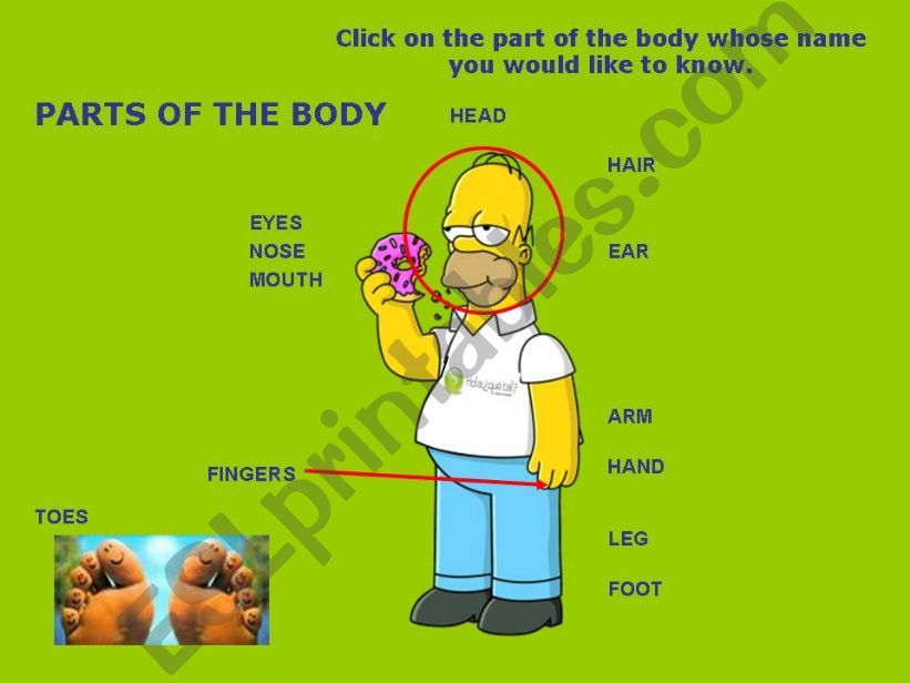 PARTS OF THE BODY by Marincho powerpoint