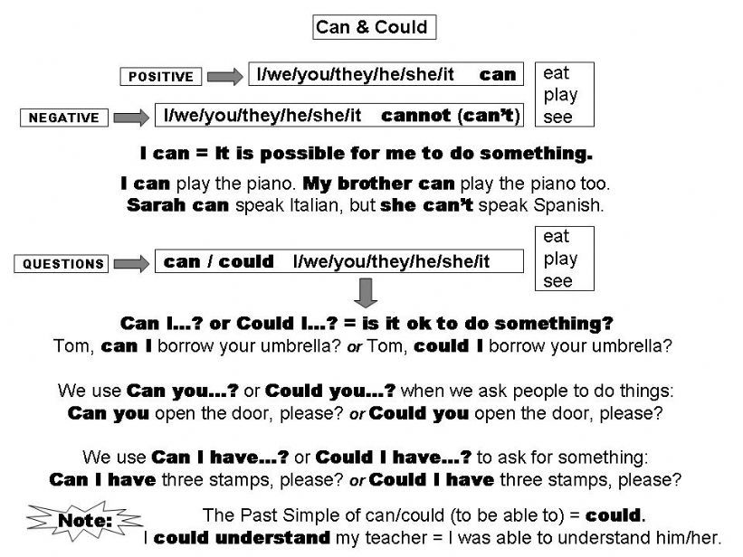 Can & Could powerpoint