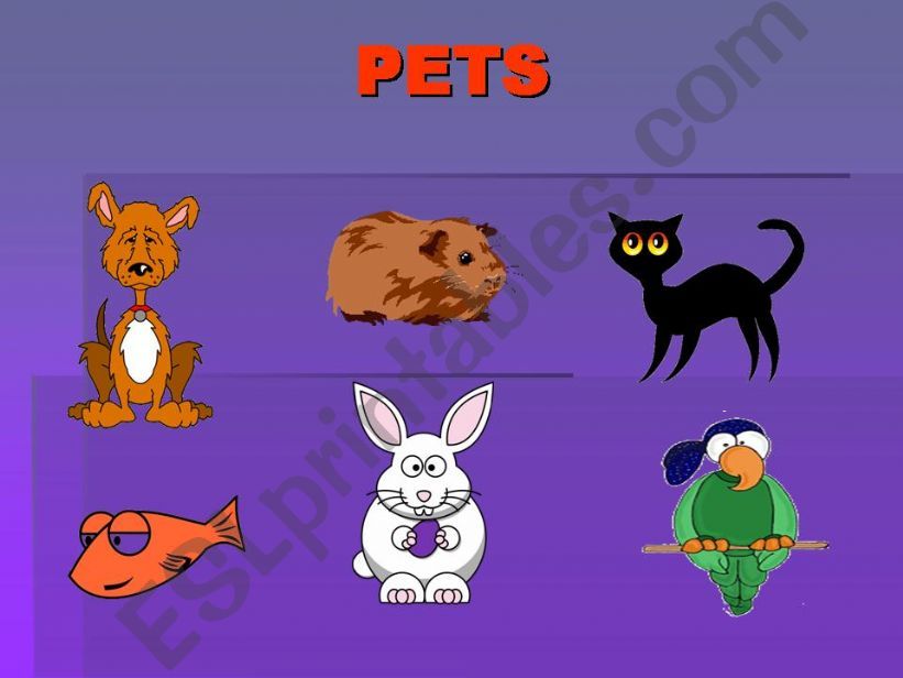 Pets powerpoint