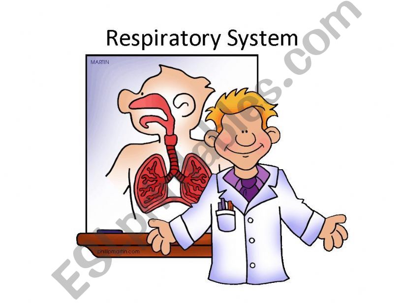 Respiratory System powerpoint