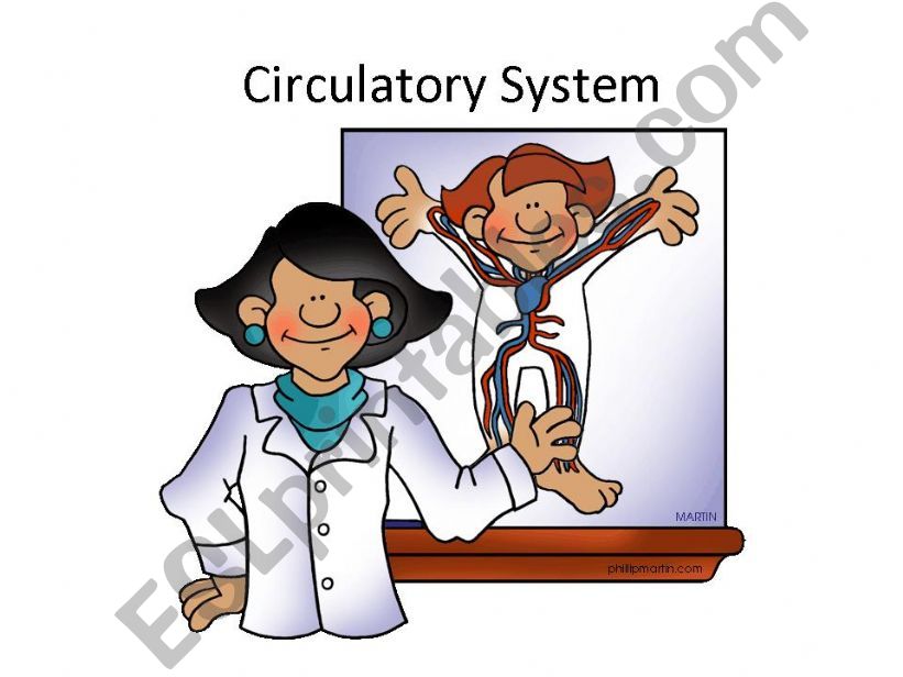 Circulatory System powerpoint