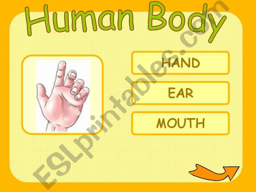 Game Human Body part4 powerpoint