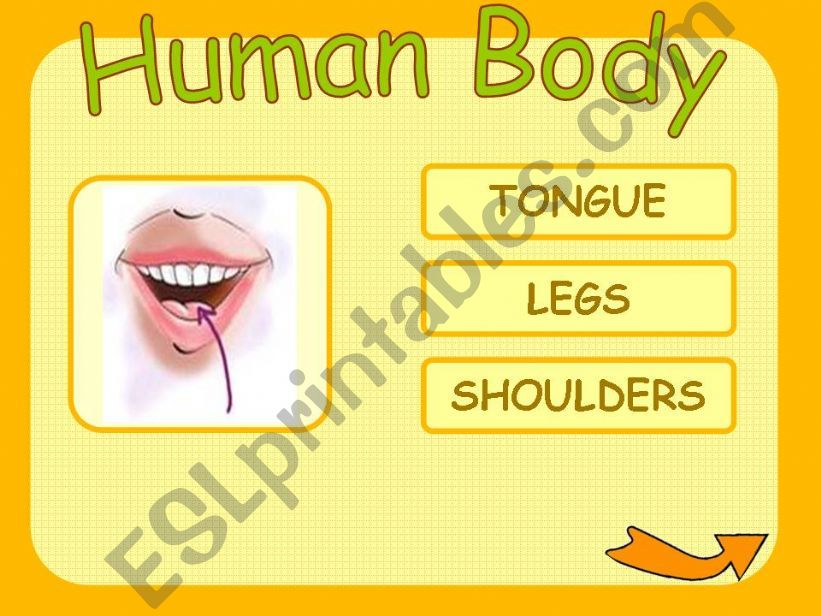 Game Human Body part5 powerpoint