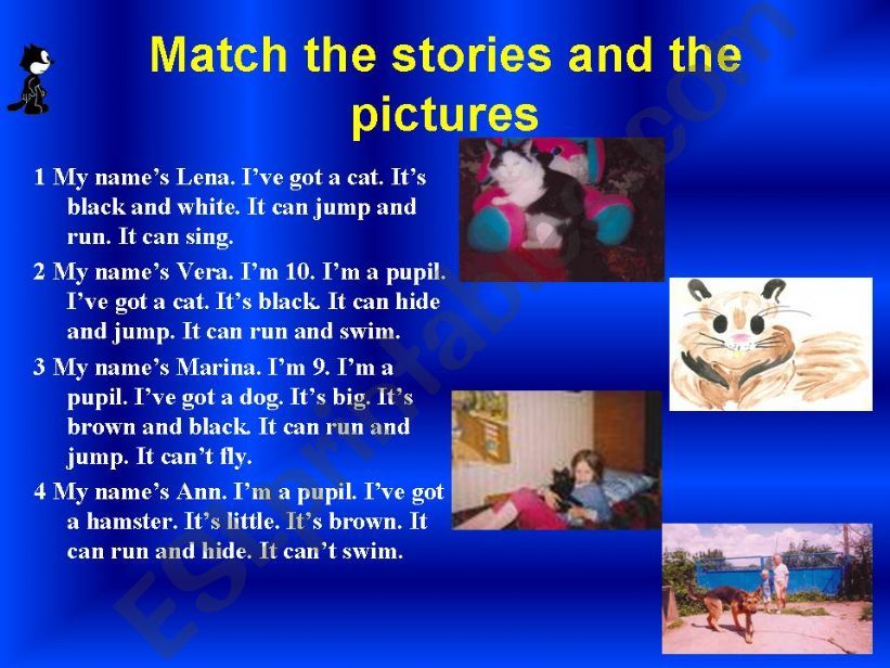 Stories about  pets powerpoint