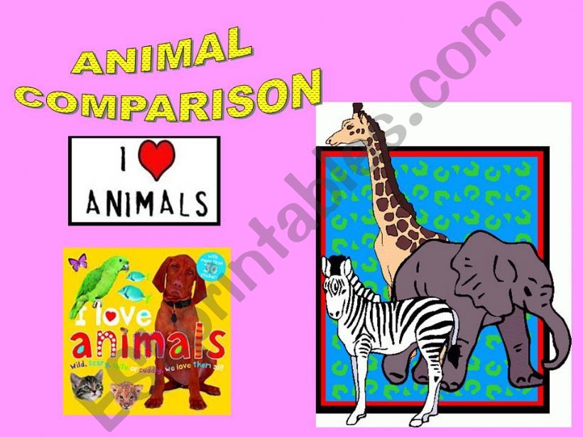 ANIMAL COMPARISON powerpoint