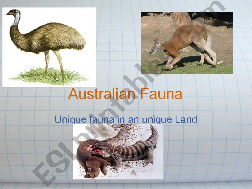 Austrlian Fauna powerpoint