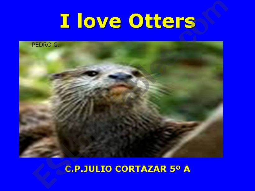 I love otters powerpoint