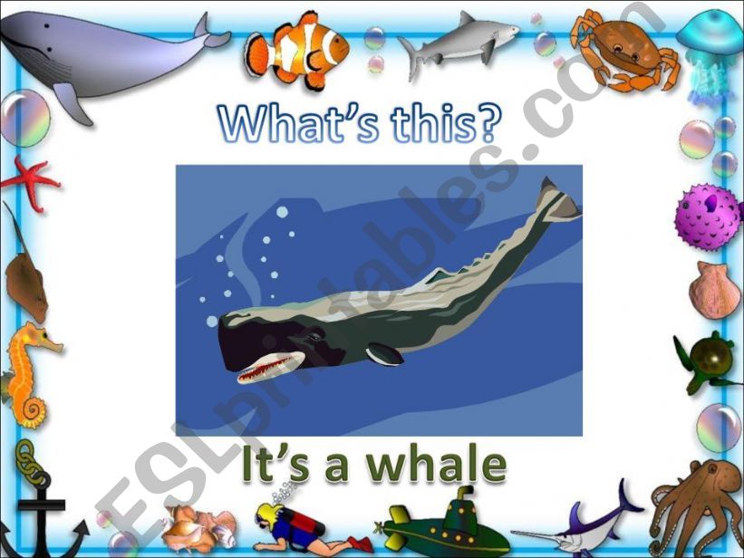IN THE SEA powerpoint