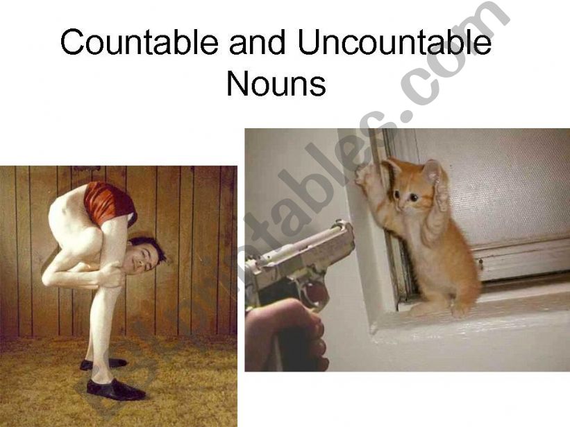 Countable and Uncountable Nouns 