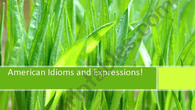 American Idioms Lesson powerpoint