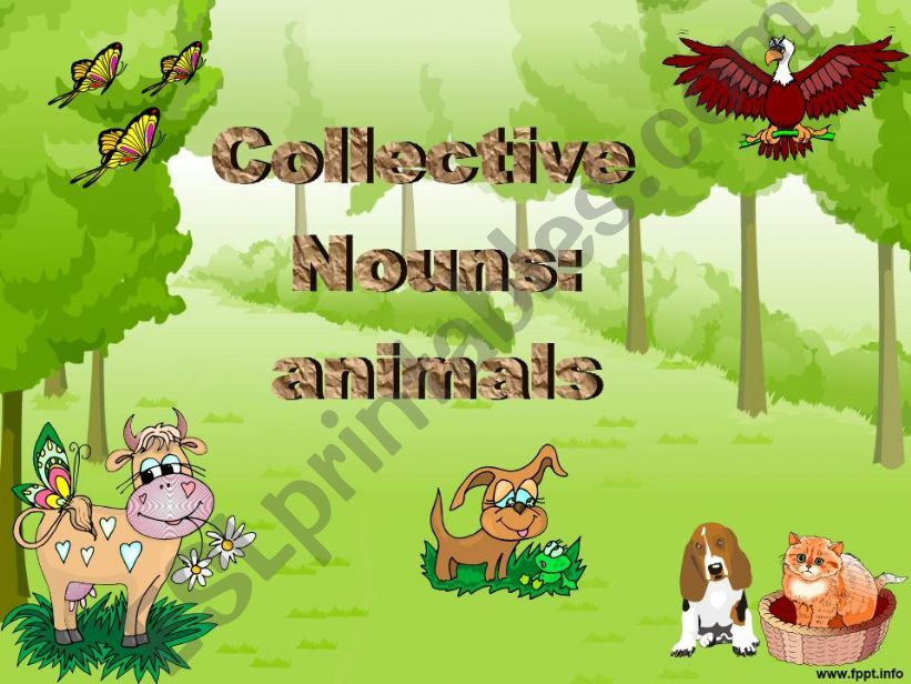 Collective Nouns - Animals powerpoint