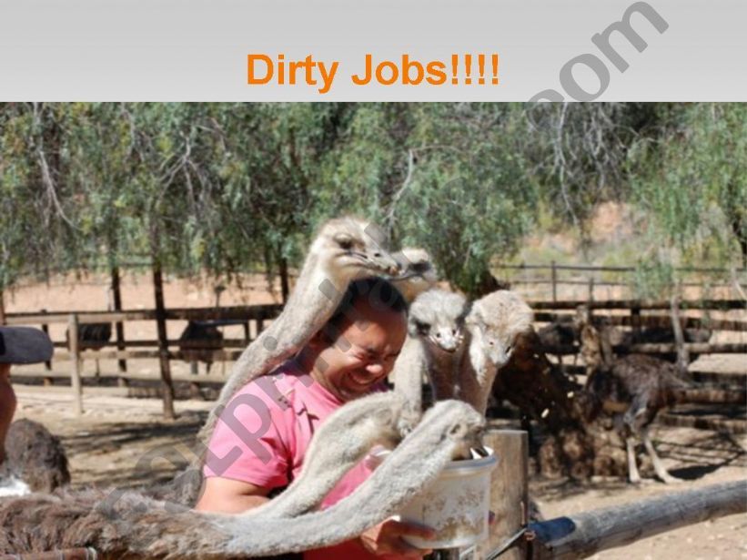 Dirty Jobs powerpoint