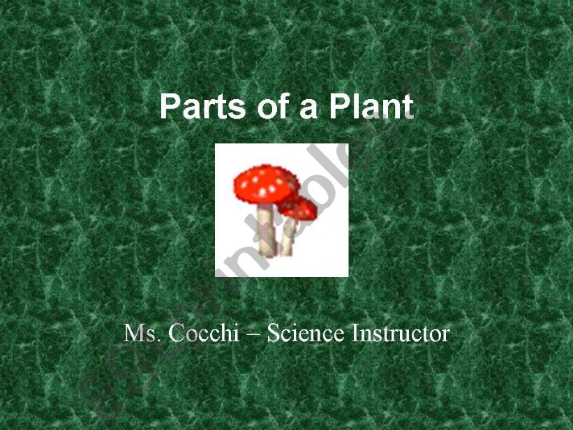 Parts of a Plant powerpoint