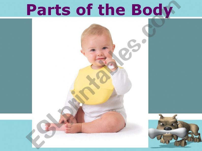 Body parts 1 of 2 powerpoint