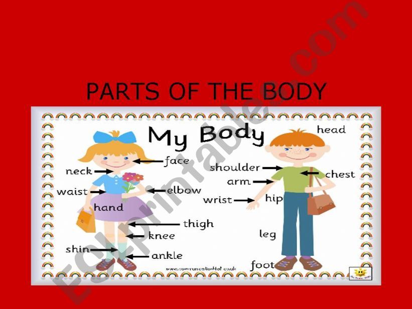 PARTS OF THE BODY powerpoint