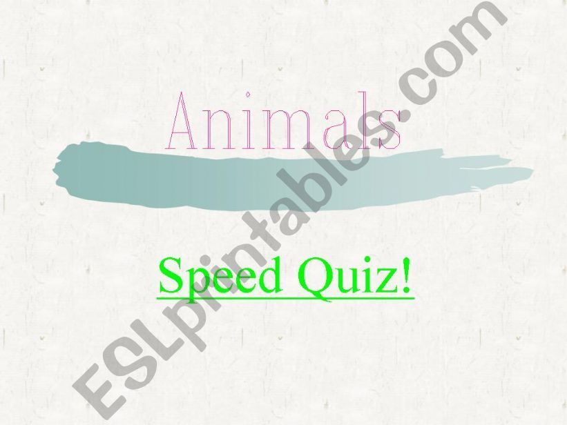 speed quiz - animals powerpoint