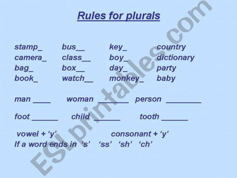 singular plural nouns powerpoint