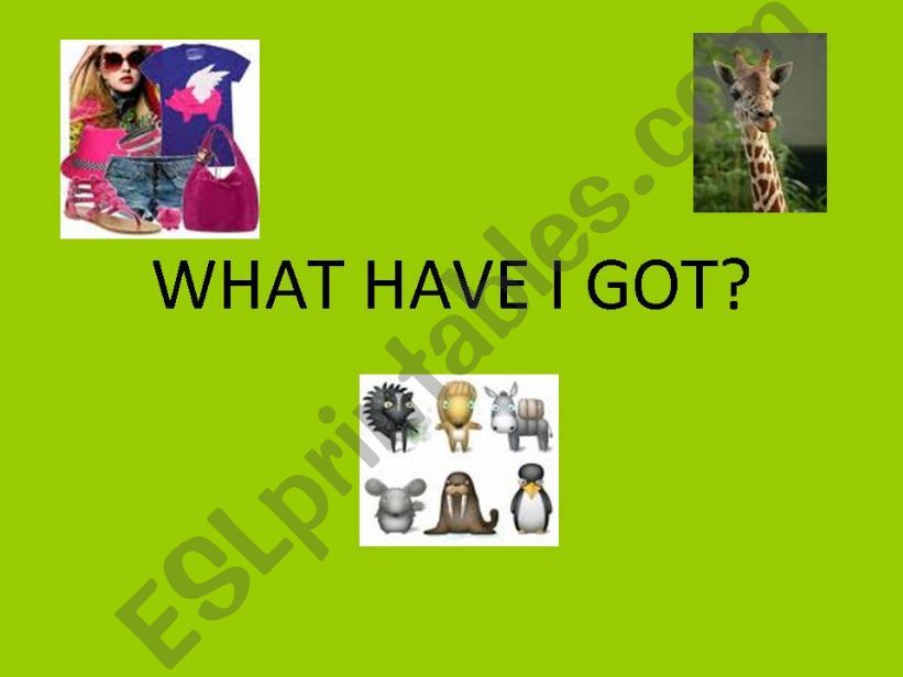 WHAT HAVE I GOT? powerpoint