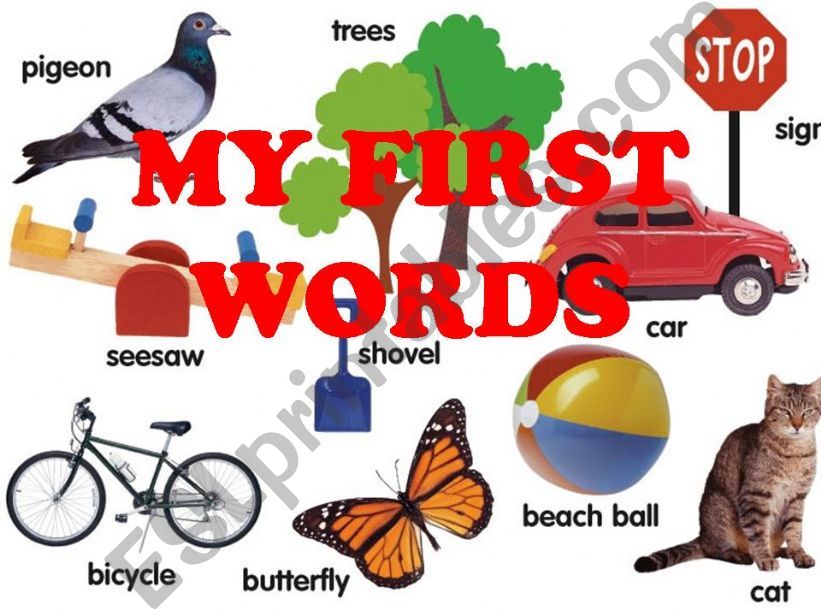My First Words powerpoint