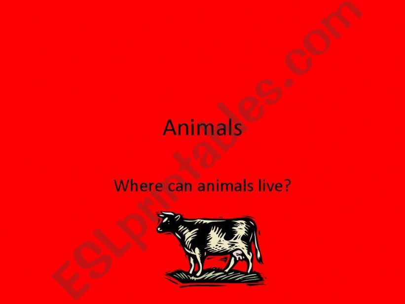 ESL - English PowerPoints: Where can animals live?