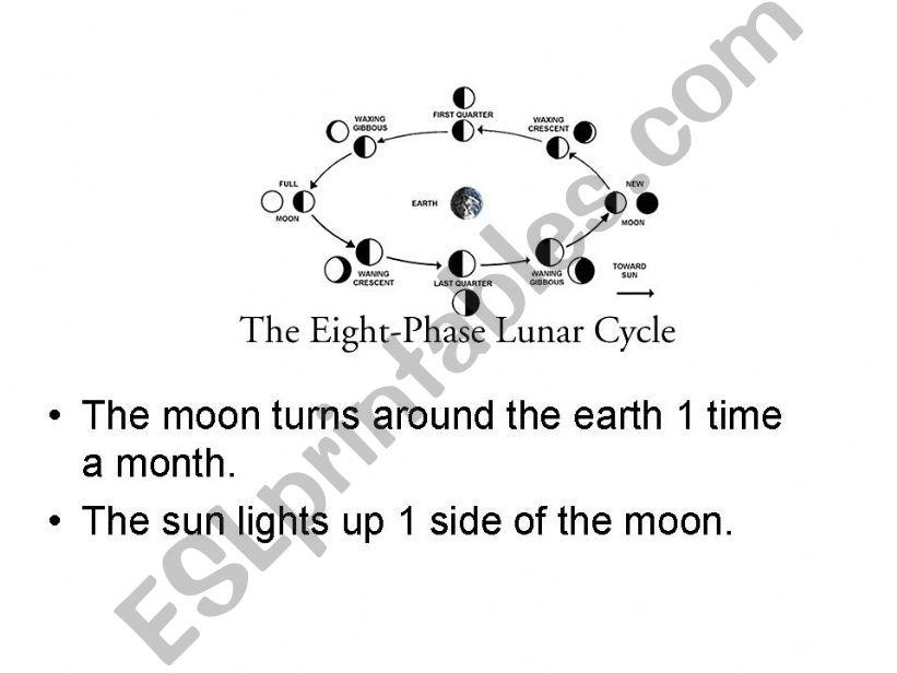 Lunar Phases powerpoint