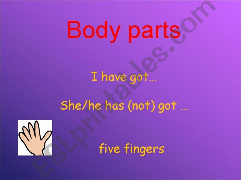 Parts of the Body powerpoint