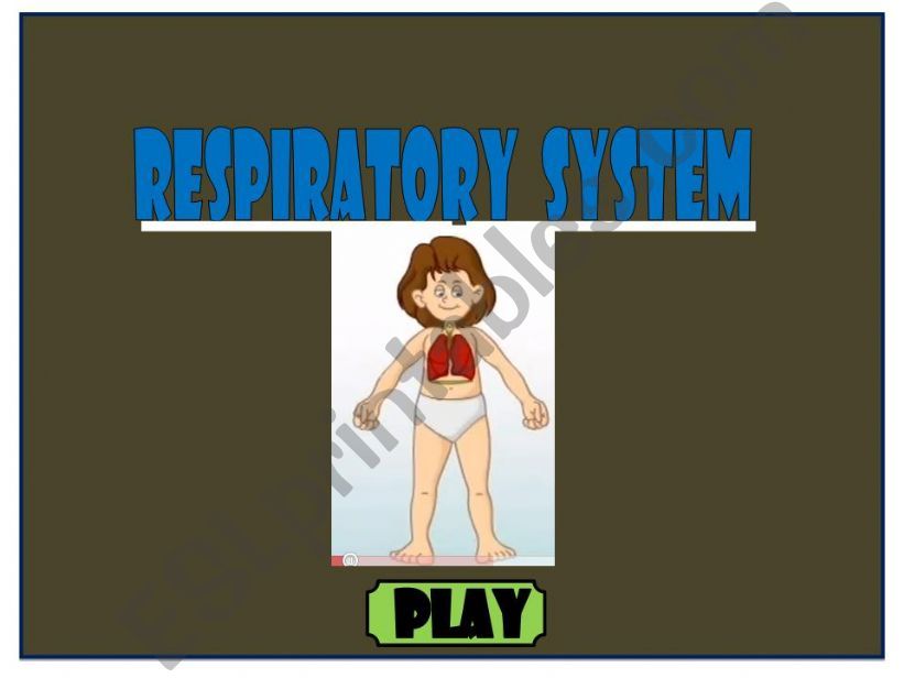 Respiratory system powerpoint