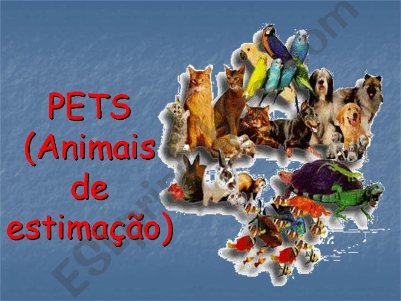 Pets powerpoint