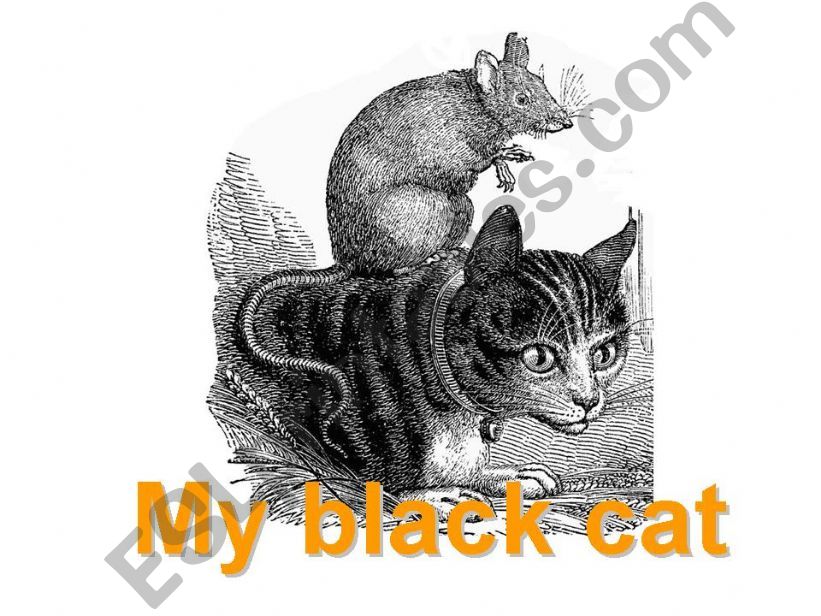 my black cat powerpoint