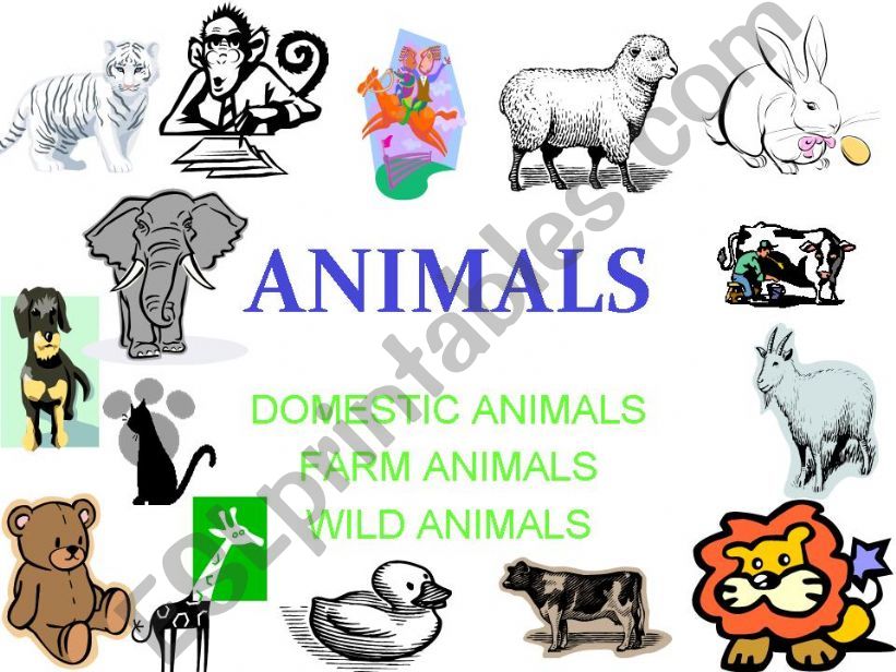 ANIMALS powerpoint