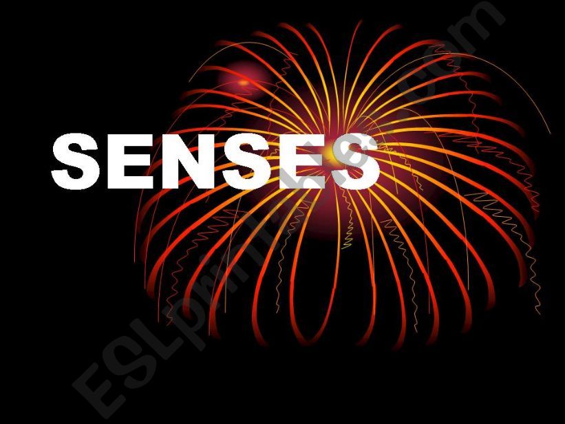 senses powerpoint