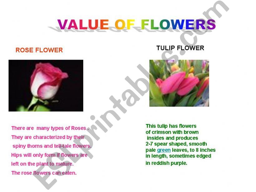 VALUES OF FLOWERS powerpoint