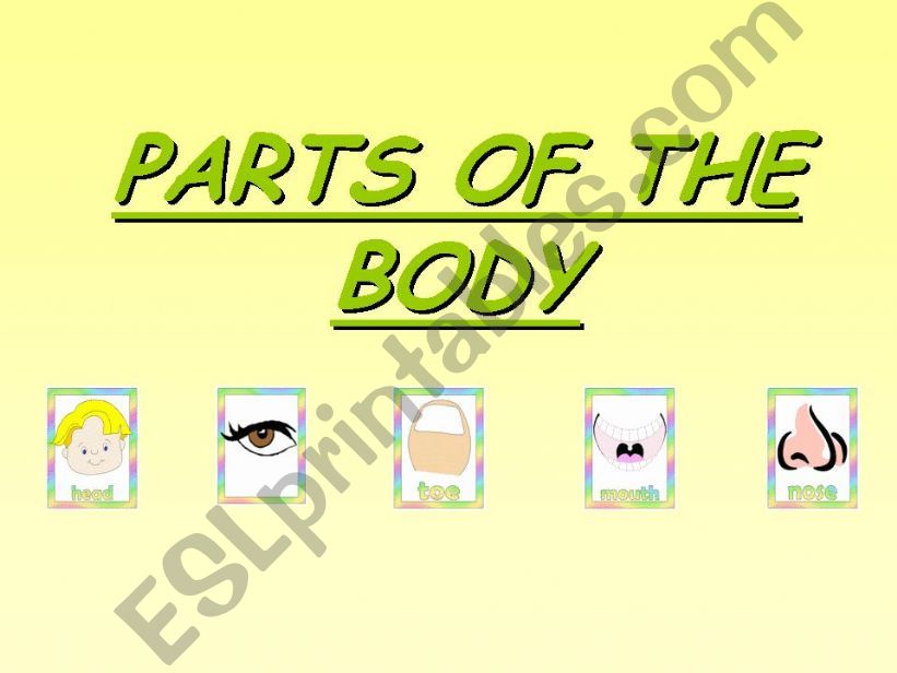 PARTS OF THE BODY powerpoint