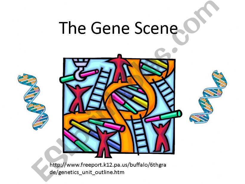 The gene scene powerpoint