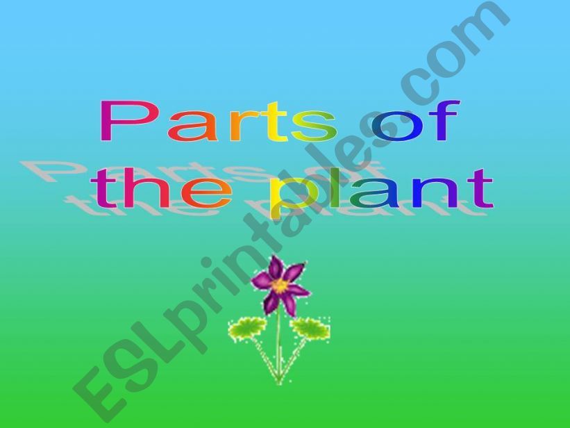 Parts of the plant powerpoint