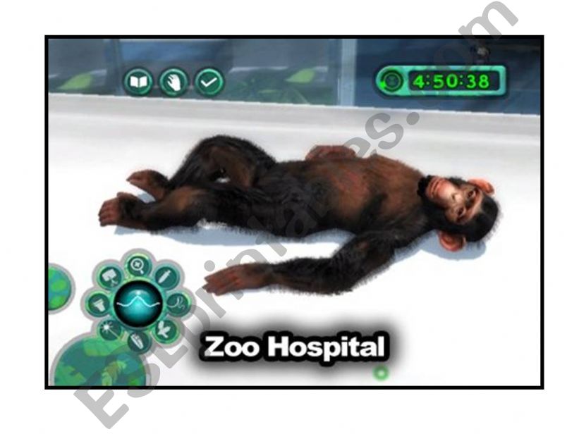 zoo animals powerpoint