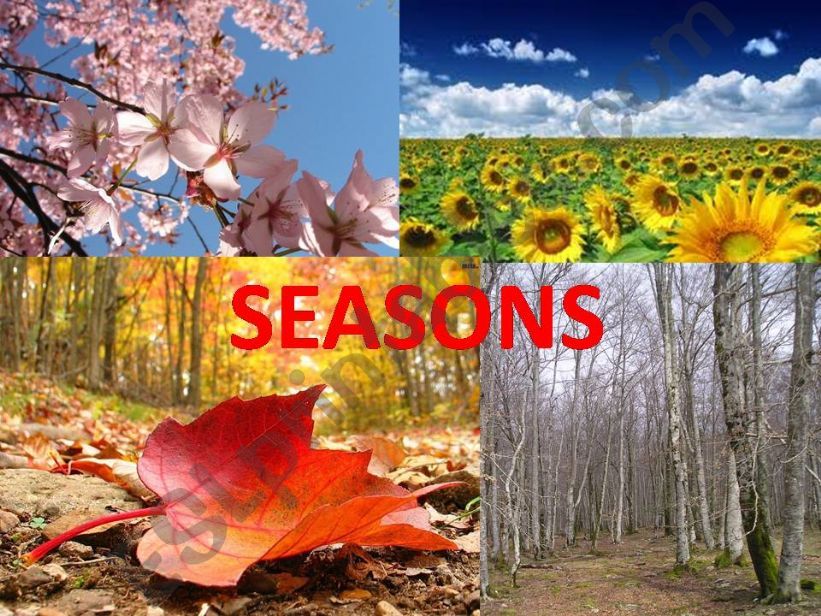 Seasons Part 1 of 3 powerpoint